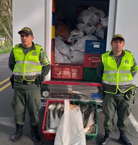 Incautan cargamento de pescado ilegal en el centro del Huila 1