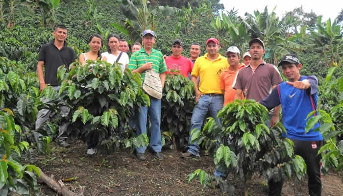 Jóvenes cafeteros convocados a postular ideas de emprendimiento 1