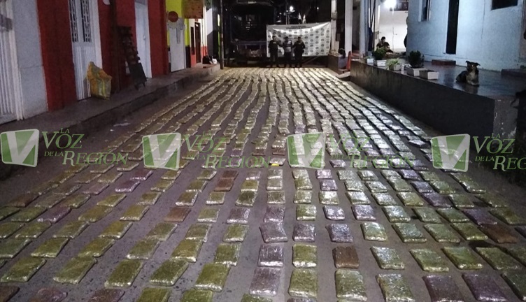 Incautan más de media tonelada de marihuana en La Plata 1