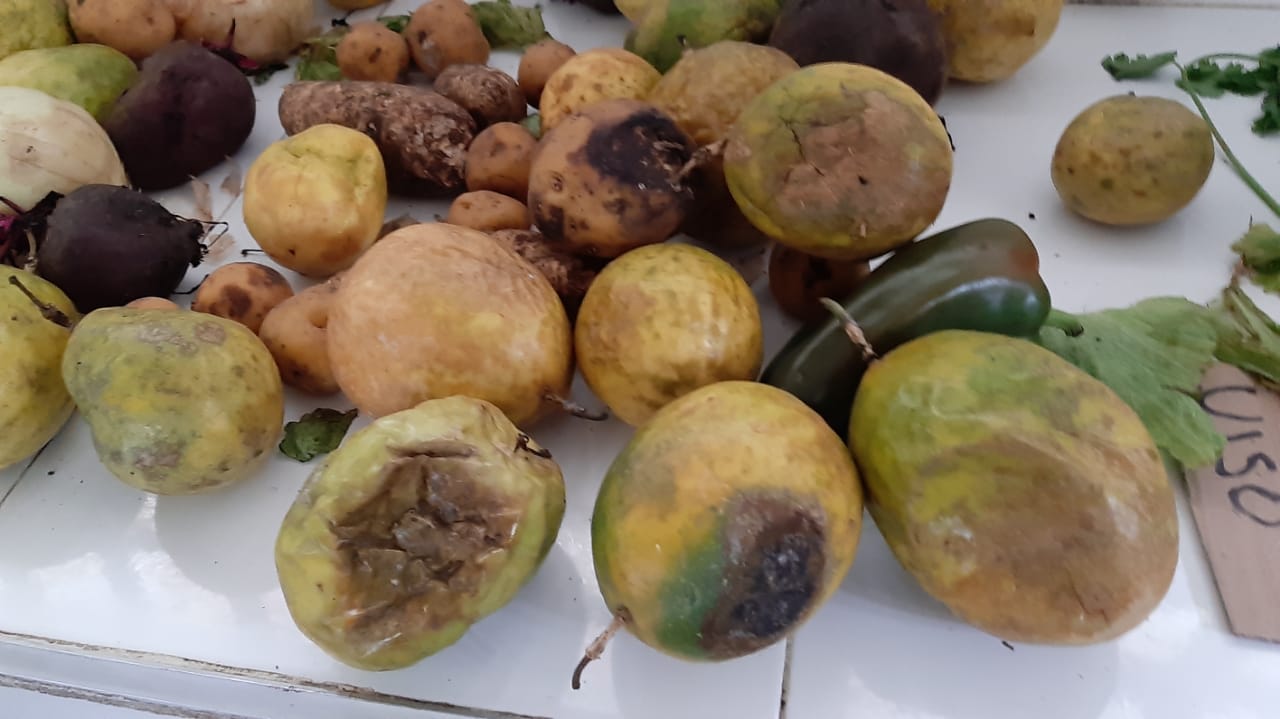 Denuncian al operador PAE que suministró alimentos de mala calidad en Elías 1