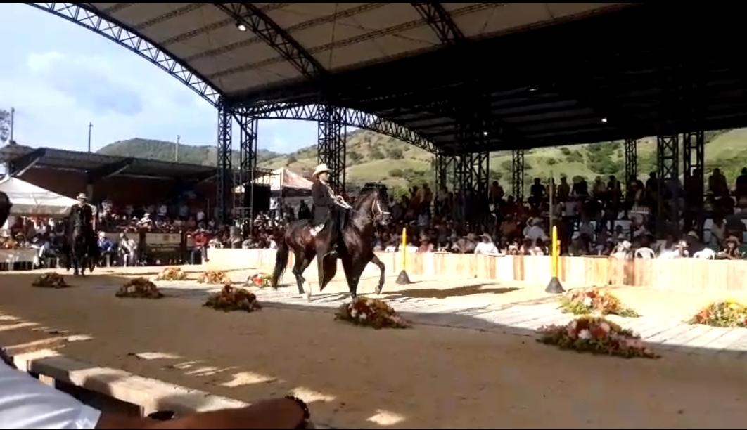 Con gran éxito se cumplió Feria Exposición Equina Grado B, en Suaza 4