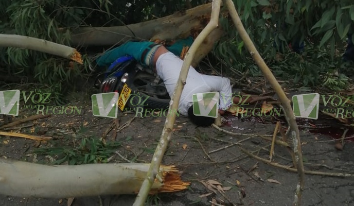 Tragedia en la vía Garzón Zuluaga, un árbol mató a un motociclista 1