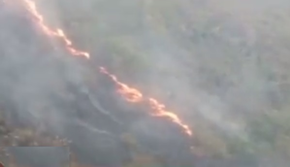 Emergencia en Palermo por incendio en cercanías a la bocatoma municipal 2