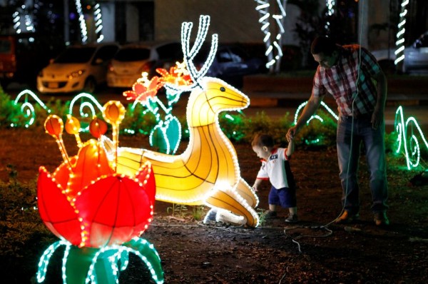 En estos municipios huilenses será instalado el alumbrado navideño 3