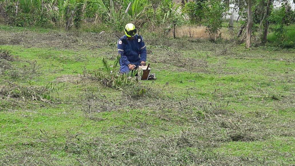 Tragedia en Suaza, adulto mayor murió tras ser atacado por enjambre de abejas 3