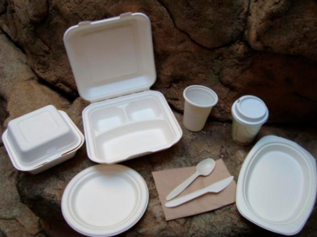 Concejo de La Plata tramita acuerdo para prohibir los plásticos de un solo uso 4