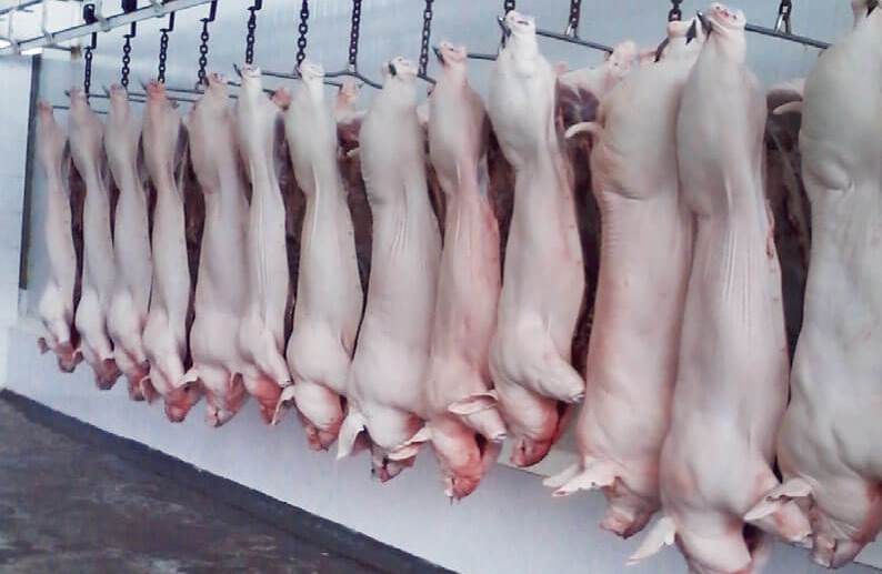 Nuevo Decreto permitirá reabrir varias plantas de sacrificio animal en el Huila 2