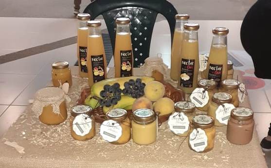 Jóvenes timanenses incursionan en la industria agroalimentaria 3