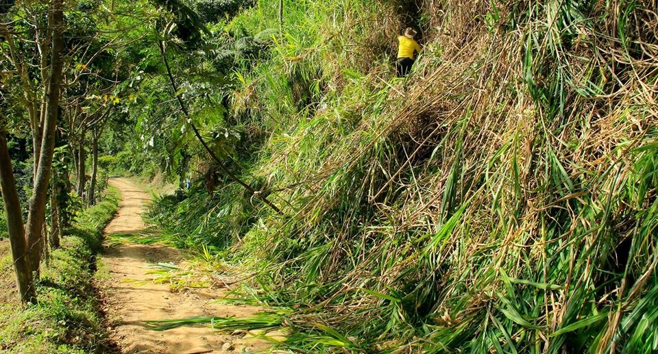 Con minga comunitaria, inició programa de mantenimiento vial en Suaza 2