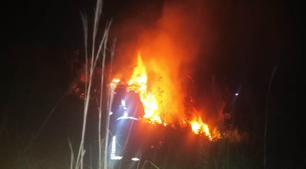 Vasto terreno fue arrasado por dos incendios provocados por pirómanos en Timaná 3
