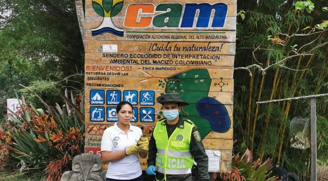 Aumenta la entrega voluntaria y rescate de fauna silvestre en el Huila 3