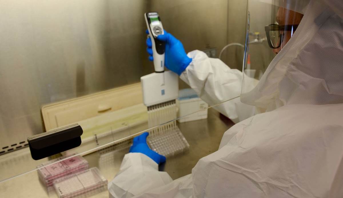 Entregan nuevo reporte de contagios por coronavirus en el Huila 5