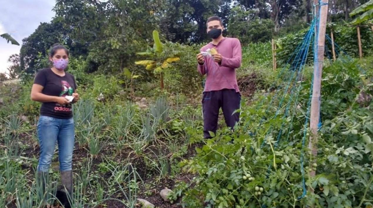 Implementan proyecto de seguridad alimentaria en Oporapa 3