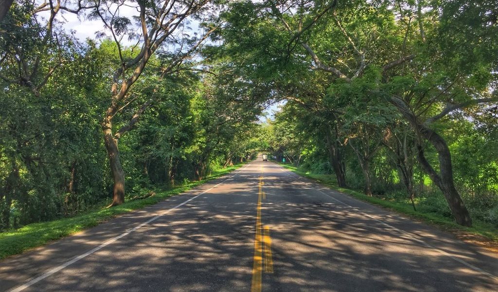 El Huila, en busca de la Certificación Internacional de Paisaje Sostenible 4