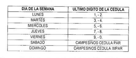 A través de decreto, alcalde de La Plata determinó acciones contra la emergencia 2