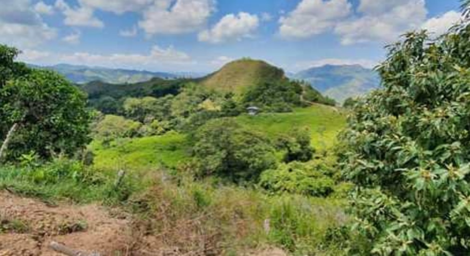 Impulsan cultura de la protección ambiental en Aipe 2