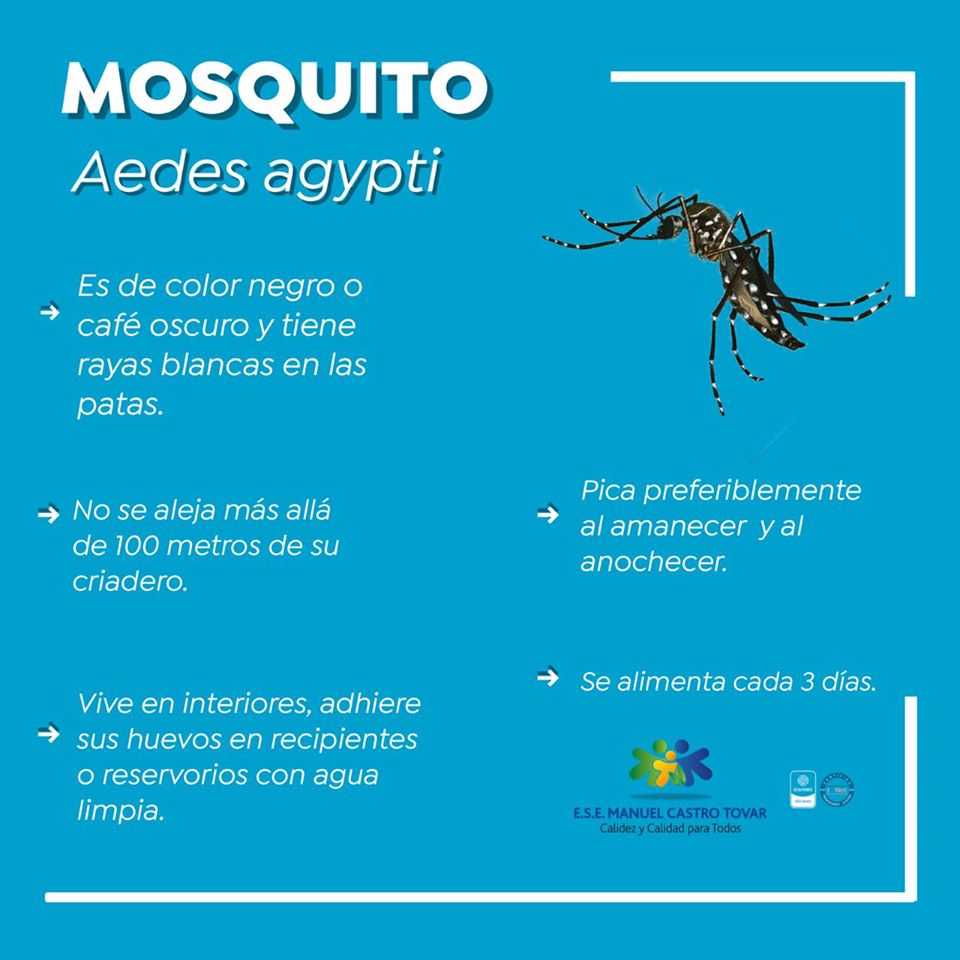 Intensifican acciones para controlar el dengue en Pitalito 3