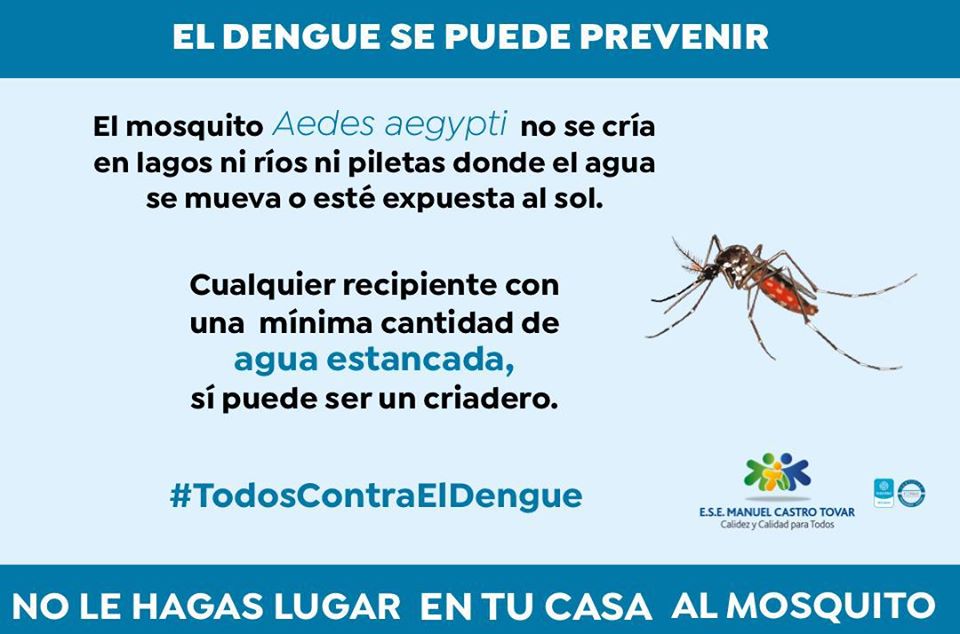 Intensifican acciones para controlar el dengue en Pitalito 2
