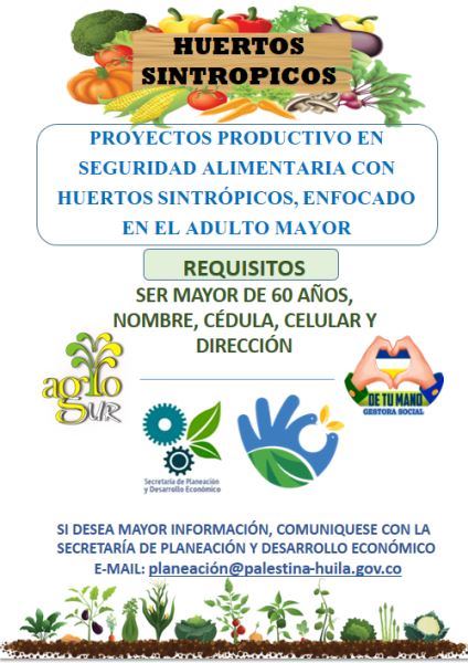 Proyecto de producción alimentaria con adultos mayores de Palestina 2