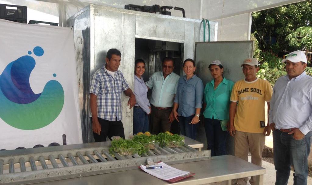 Tesalia busca convertirse en el primer productor de tomate cherry del Huila 2