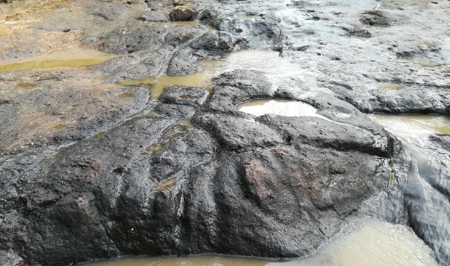 Reportan hallazgo arqueológico en zona rural de Pitalito 3