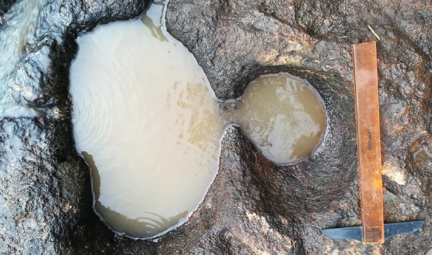 Reportan hallazgo arqueológico en zona rural de Pitalito 1