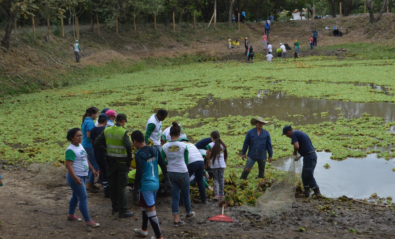 Limpieza y retiro de plantas invasoras en el humedal Santa Barbara en Palermo 4