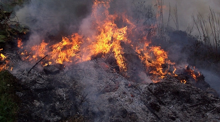 Alerta roja en 23 municipios del Huila por riesgo de incendios 1