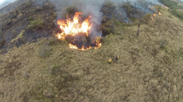 Alerta roja en 23 municipios del Huila por riesgo de incendios 3