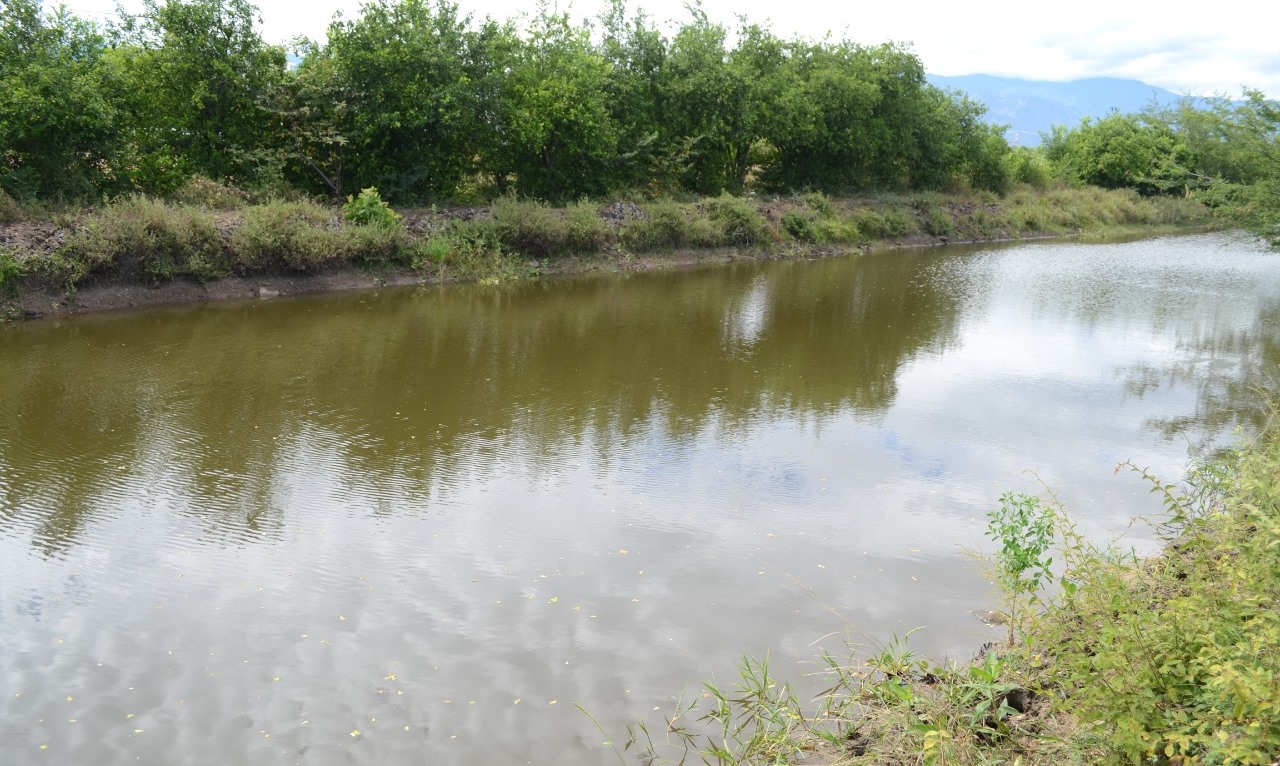Destacan jornadas de recuperación ambiental en varias zonas de Neiva 2