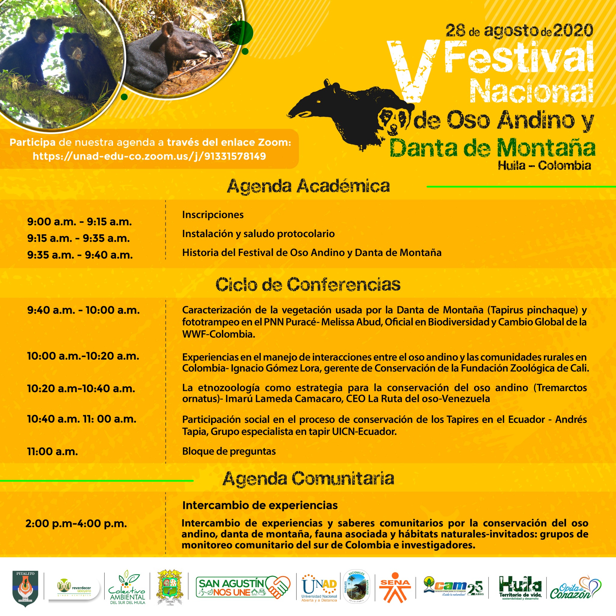 El oso andino y la danta de páramo ‘están de festival’ en el Huila 4