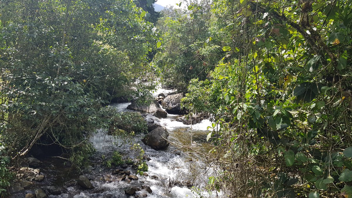 Nuevo predio para protección ambiental será adquirido en Paicol 1