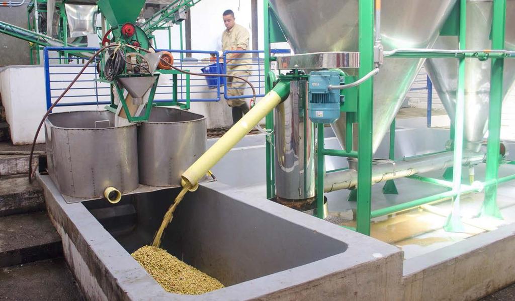 Familias cafeteras de Elías recibirán nuevos beneficiaderos 3