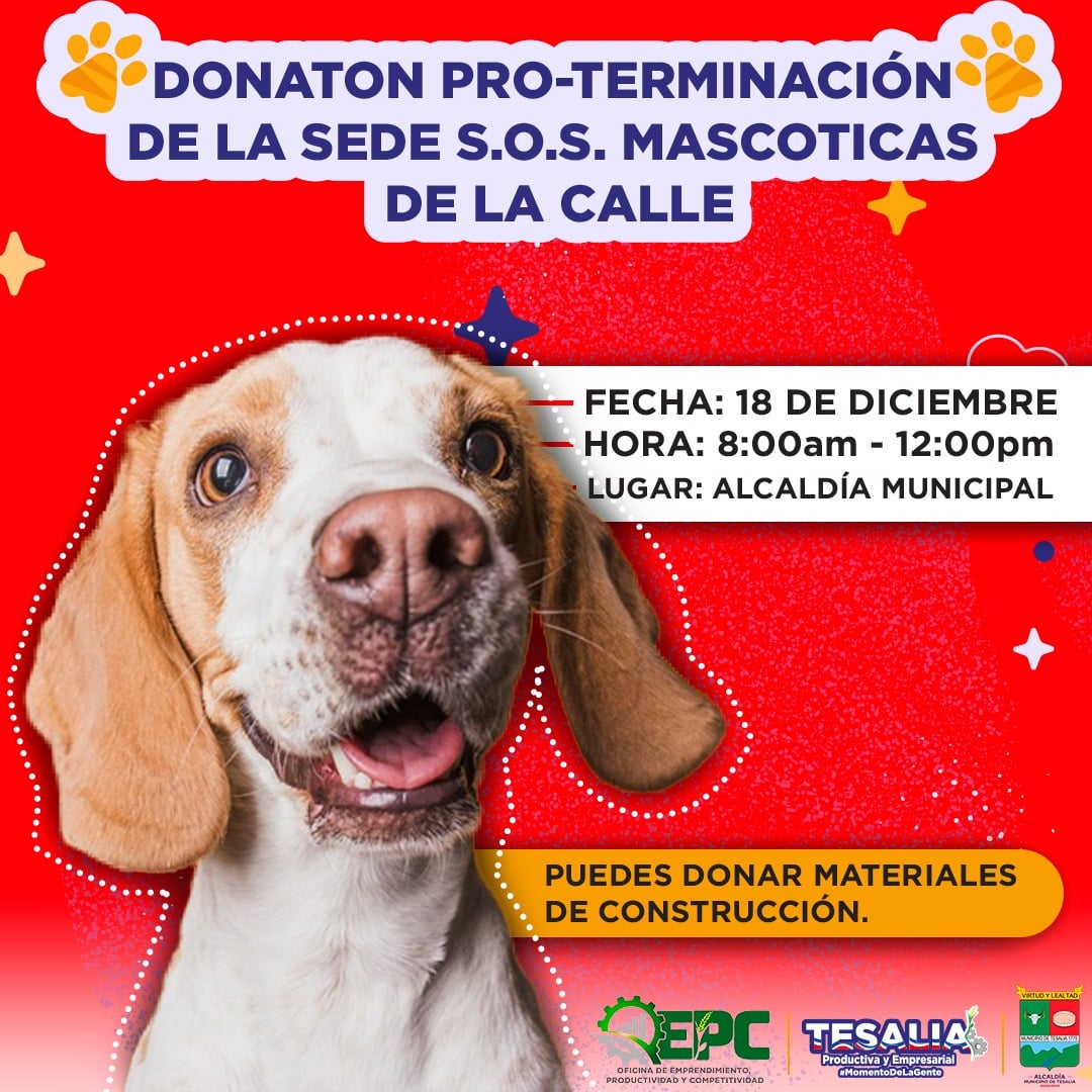 Convocan donaton para construir un centro de atención animal en Tesalia 1
