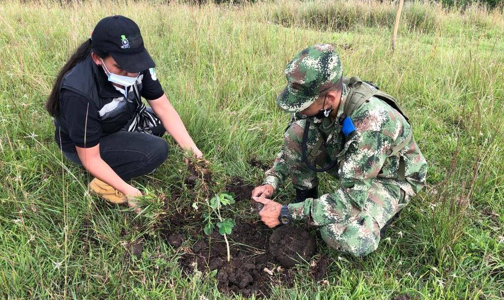 Exitosa jornada de reforestación urbana se cumplió en La Plata 2