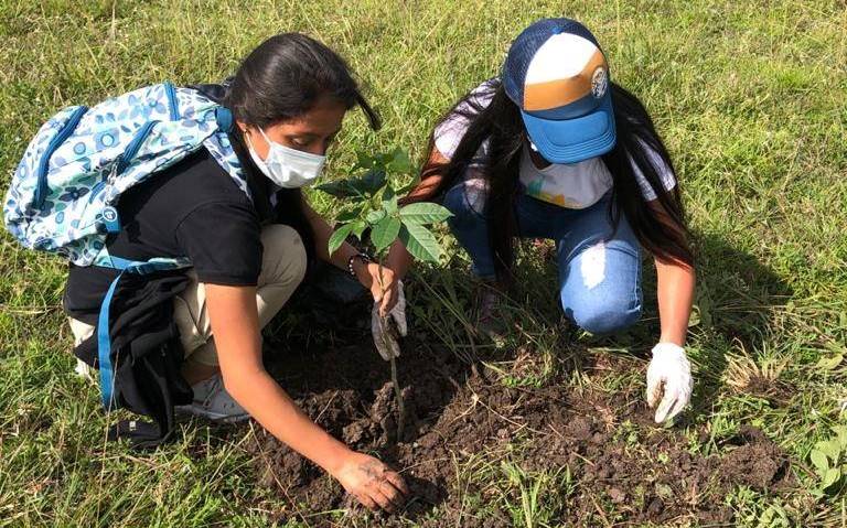 Exitosa jornada de reforestación urbana se cumplió en La Plata 3