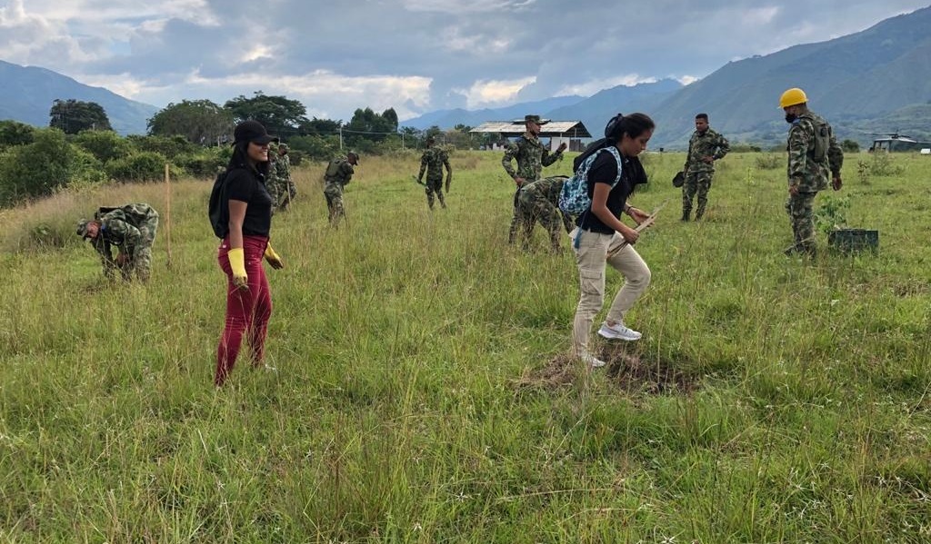 Exitosa jornada de reforestación urbana se cumplió en La Plata 1
