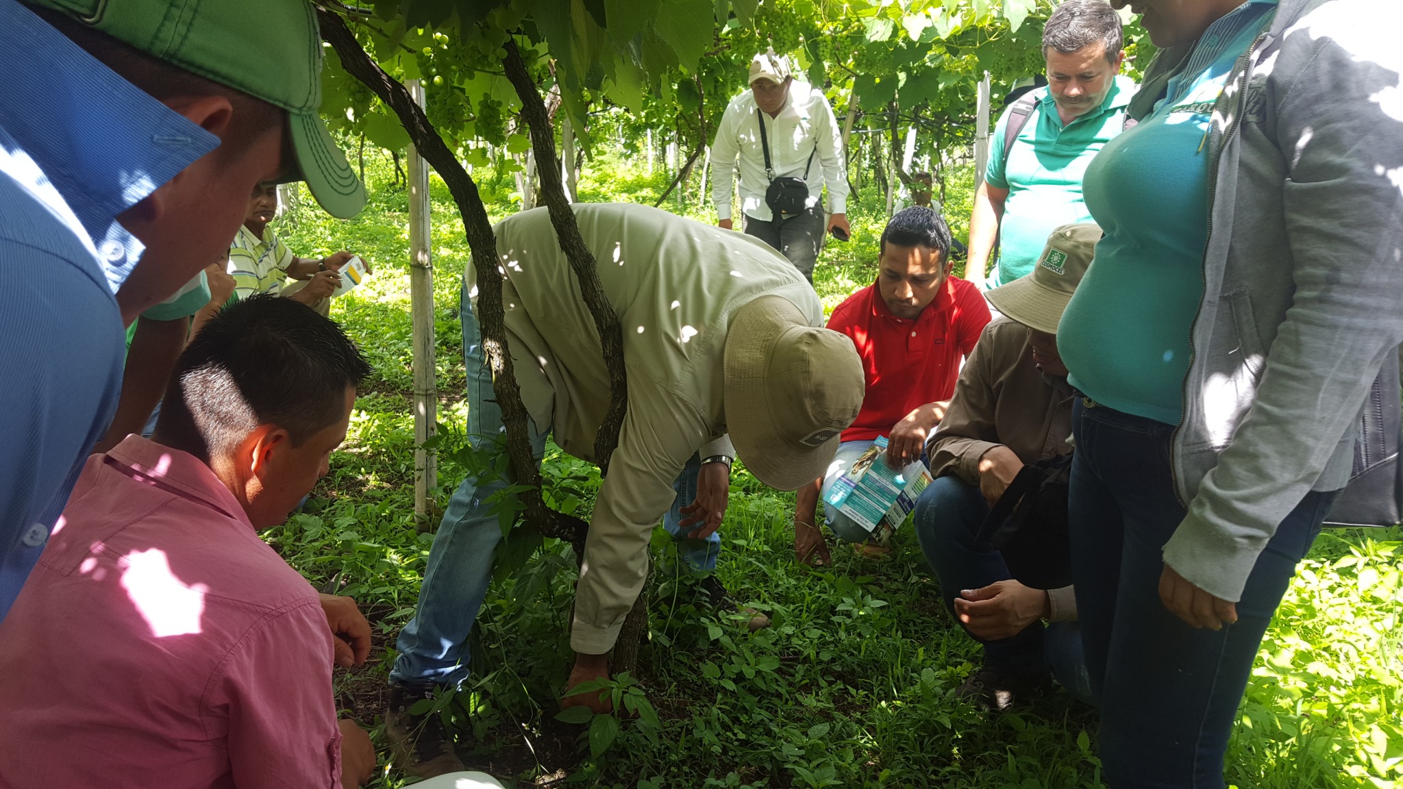 Garantizado servicio público de asistencia técnica a agricultores del Huila 2