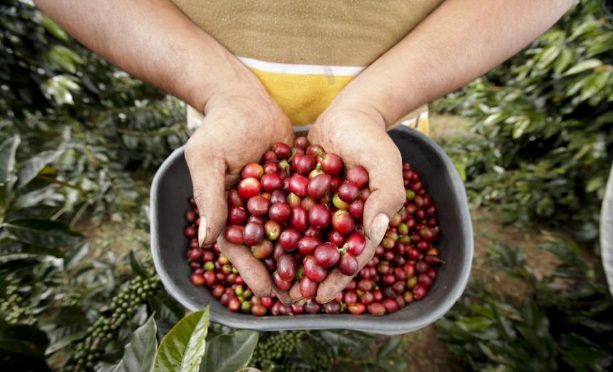 Primera Feria Internacional de Café, Cacao y Muestra Agroturística del Huila 3
