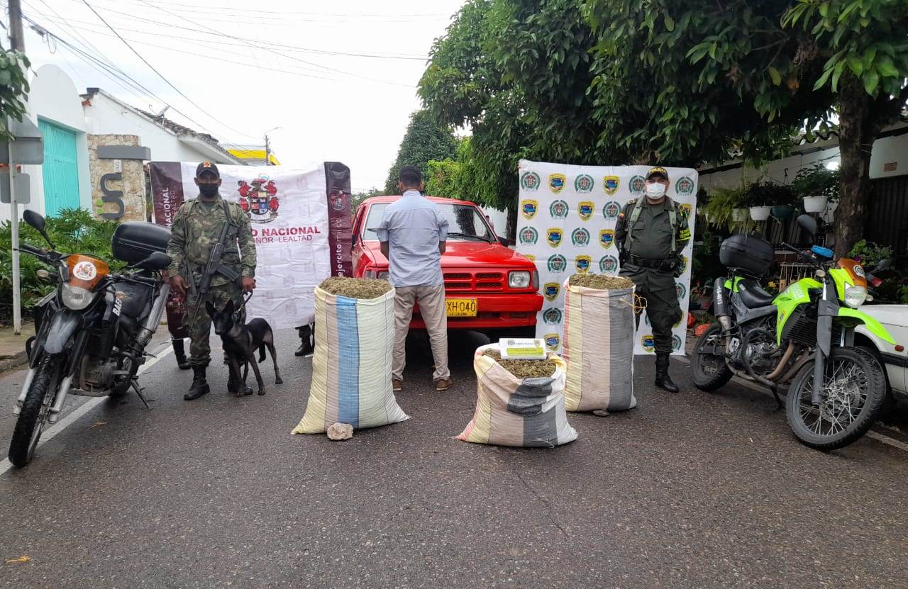 Un perro les descubrió cargamento de 118 kilogramos de marihuana 1