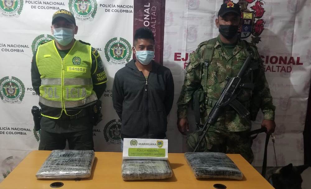 Un perro les descubrió cargamento de 118 kilogramos de marihuana 2