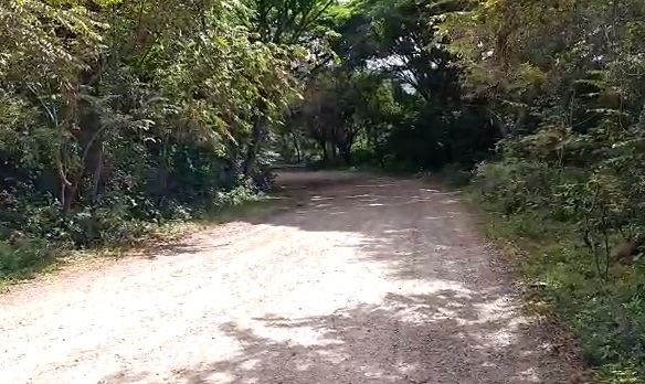 Denuncian incumplimientos con el mantenimiento de una vía en Yaguará 3