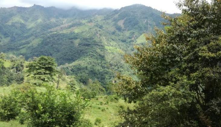 Alcaldía de La Plata comprará más predios para la conservación ambiental 1