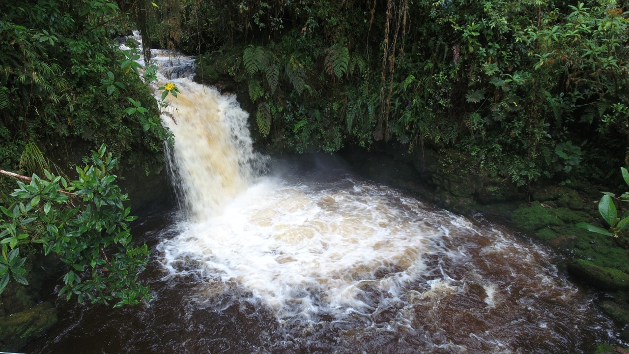 Inicia macroproyecto para la conservación y protección del Macizo Colombiano 1