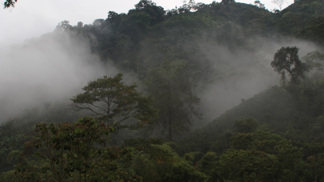 Inicia macroproyecto para la conservación y protección del Macizo Colombiano 2