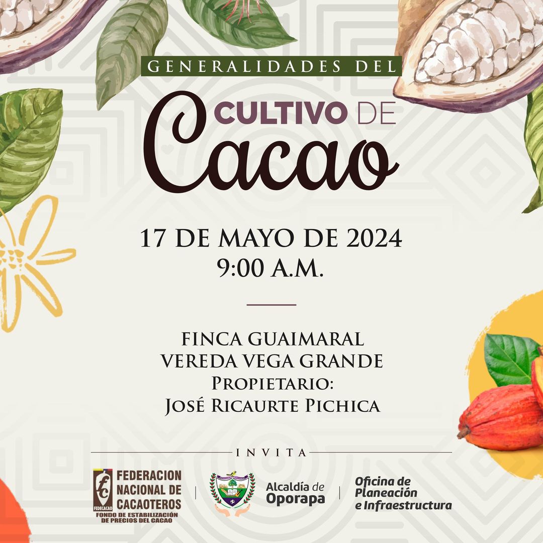 Productores de cacao de Oporapa recibirán apoyo de la Alcaldía 1
