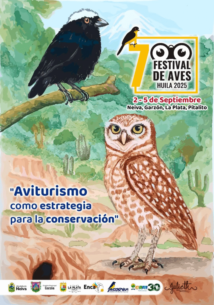 Séptima versión del Festival de Aves en el departamento del Huila 1