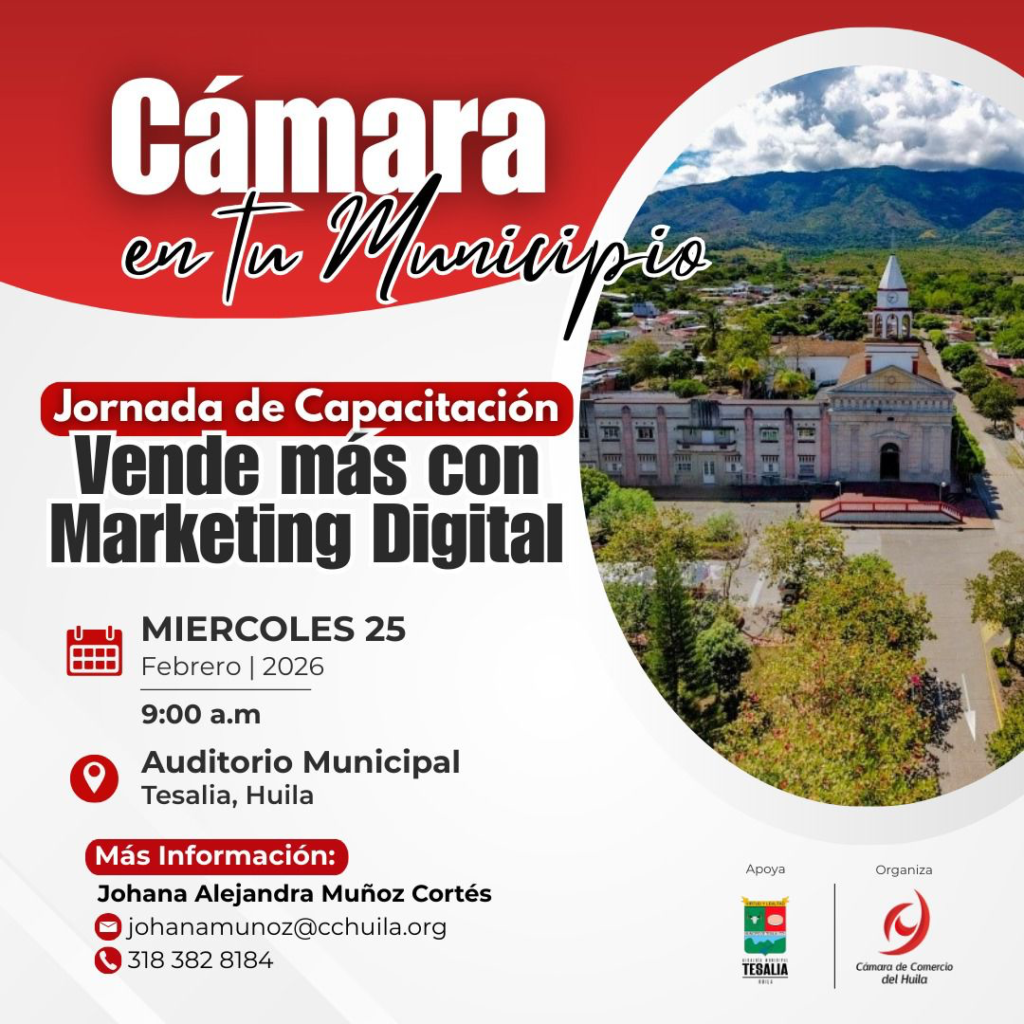 Curso de marketing digital para comerciantes y empresarios de Tesalia 1