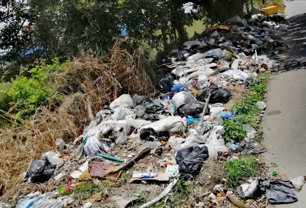 Tulito, el rostro humano del reciclaje y la conciencia ambiental en Pitalito. 3