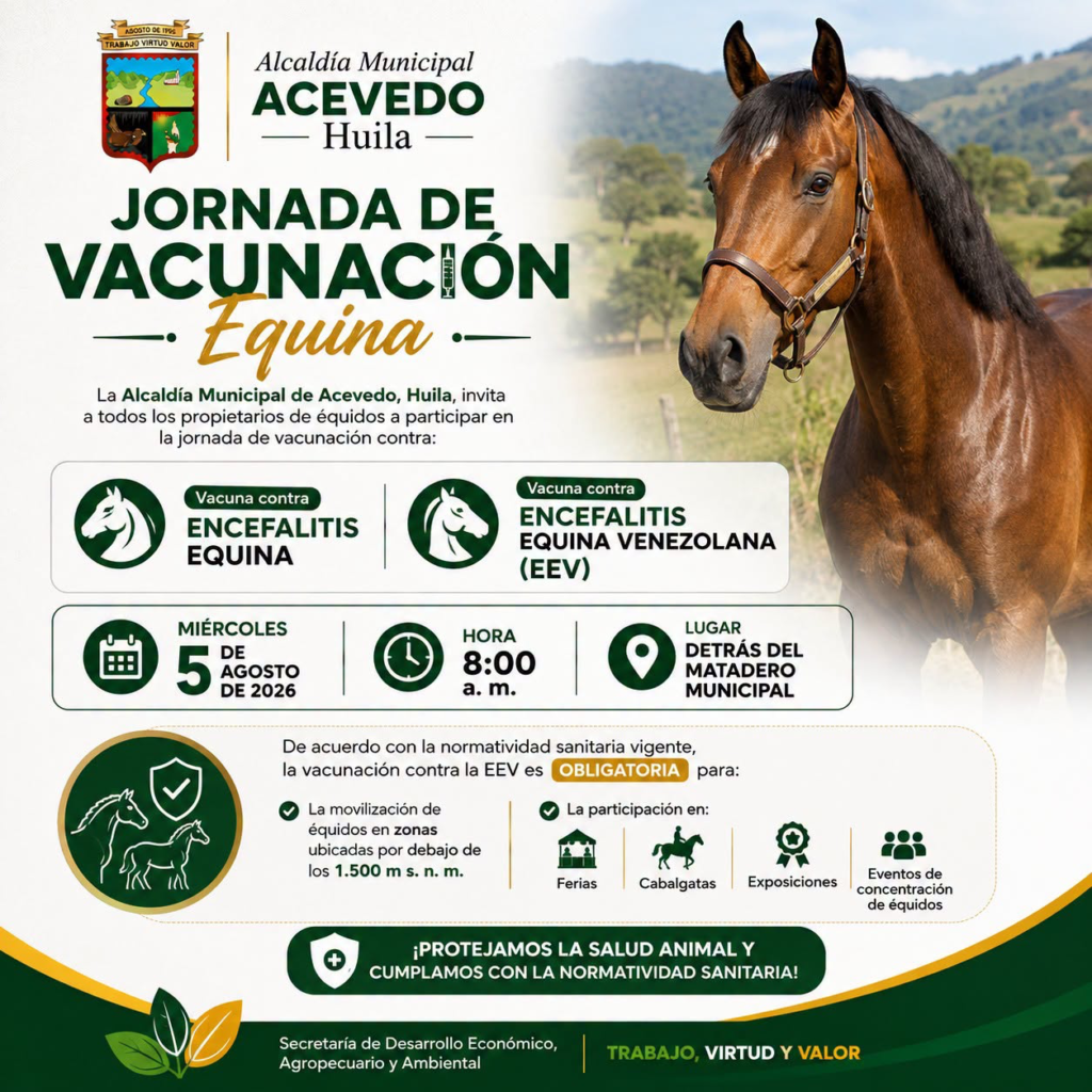 Jornada de vacunación equina se desarrolla en Acevedo 1
